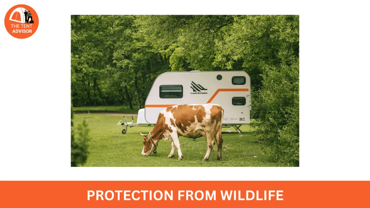 Protection from Wildlife